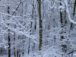 Photo6